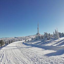 Lyžák 2019